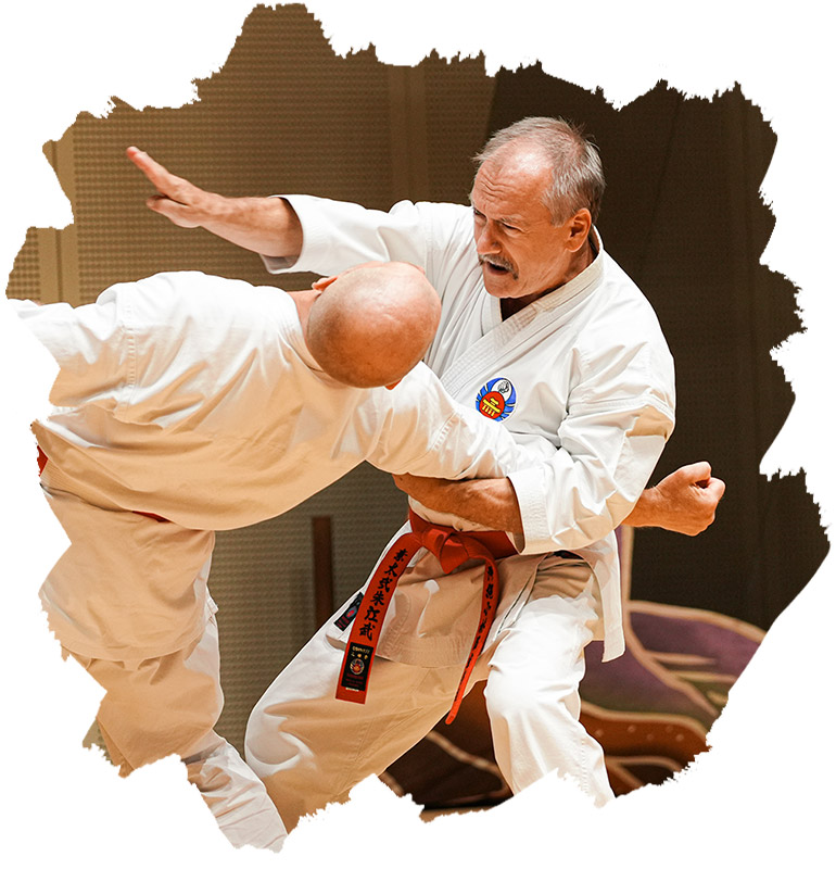 Pokazy karate okinawa - Aleksander Staniszew